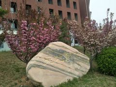 -大连理工大学(凌水校区)