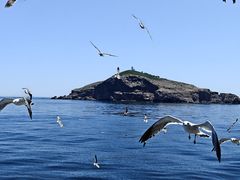 -海驴岛(荣成市)