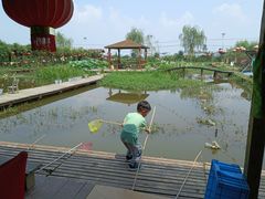 -同銮特种养殖场·龙虾垂钓