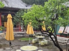 -宫事颐庭·老佛爷贵寿下午茶(颐和园店)