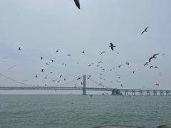 -星海广场