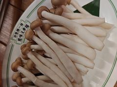 -禄婶鸡煲·打边炉