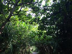 -龙坑生态保护区