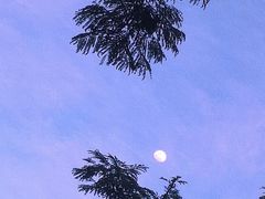 -四海公园(南山区)
