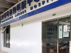 -宠福鑫动物医院(城北分院)