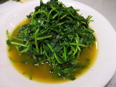 -农家大院(纪王店)