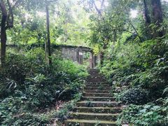 -杭州花家山庄