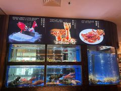 -侨美食家·粤菜(体育西路店)