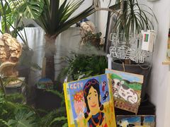 -甲乙果 美术书法(通州校区)