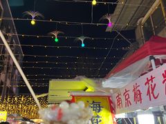 -南湖公园地摊集市