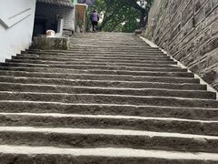-南山植物园