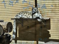 -青藏高原野生动物园