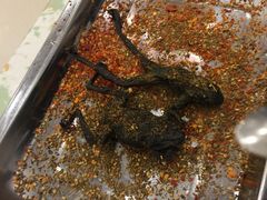 -老猎户炭火锅羊汤(万达店)