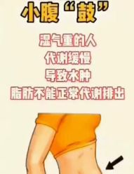 -香薇妮丝·定制减肥·身材管理