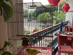 -符缸酸菜鸡(华阳店)