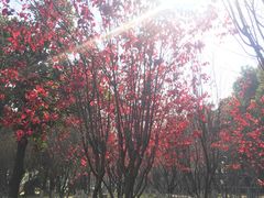 -汉水公园