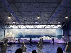 -秦皇岛乐岛海洋王国