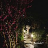 只有十间房的日式温泉酒店