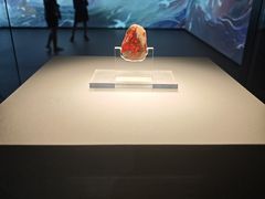 -北京大葆台遗址博物馆