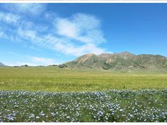 -赛里木湖风景名胜区