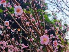 -草庵摩尼教遗址公园