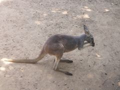 -西安秦岭野生动物园