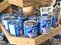 -富士山吉田線五合目
