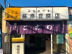 -南山植物园