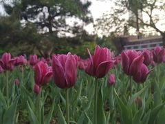 -长春公园(普阳街道)