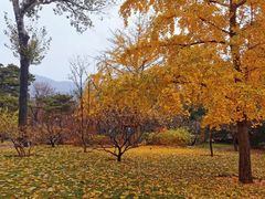-香山公园