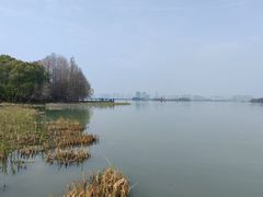 -长广溪湿地公园