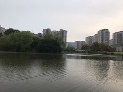 -新江湾城公园