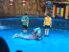 -烟台海昌鲸鲨海洋公园