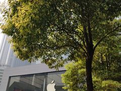 -Apple零售店(成都太古里店)