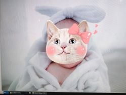 -小熊维尼高端儿童摄影(罗湖区总店)