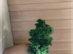 -全季酒店(上海徐家汇肇嘉浜路店)