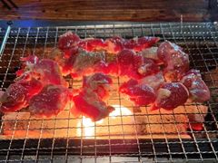 -柿子树炭烤羊腿(金台路店)