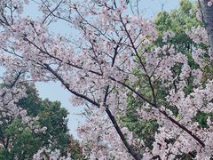 -自然谷恐龙园