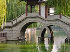 -团结湖公园