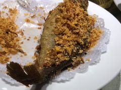 -金枝玉叶上海人家食府(三里河店)