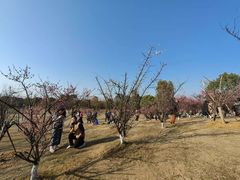 -艾溪湖湿地公园