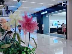 -凯德MALL(望京店)