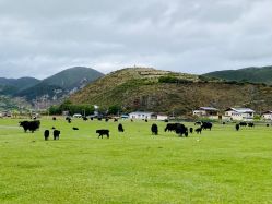-纳帕海依拉草原