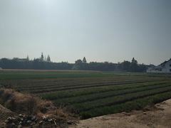 -小鱼草莓采摘园农家乐·小鱼餐厅
