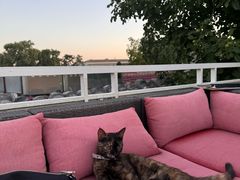 -EATALIA意塔利意式餐厅(鼓楼店)