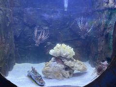 -梦幻海洋王国(吾悦广场张家港店)