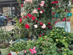 -船老大饭店(太滆街店)