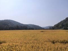 -南泥湾风景区