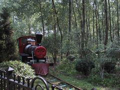 -合肥滨湖国家森林公园