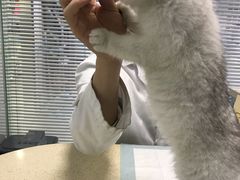 -莘程宠物医院(金山店)